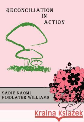 Reconciliation In Action Sadie Naomi Findlater Williams 9781434314482