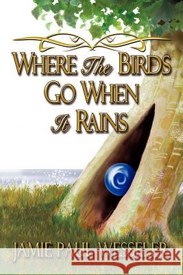 Where The Birds Go When It Rains Jamie Paul Wesseler 9781434315502