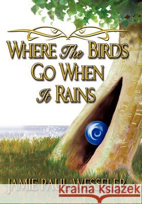 Where The Birds Go When It Rains Jamie Paul Wesseler 9781434315519