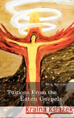 Tuitions from the Eaten Gospels Bela Weimann 9781434352194 AUTHORHOUSE