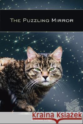 The Puzzling Mirror Frances Croft 9781434361547