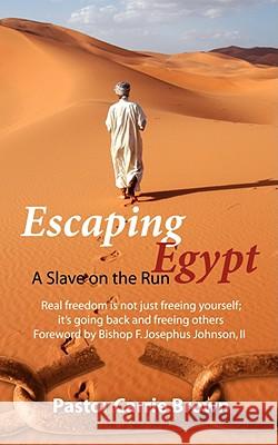 Escaping Egypt: A Slave on the Run Brown, Pastor Carrie 9781434365057