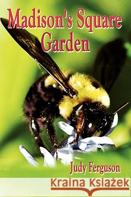 Madison's Square Garden Judy Ferguson 9781434399496 AUTHORHOUSE
