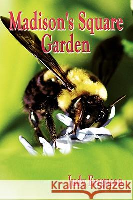 Madison's Square Garden Judy Ferguson 9781434399502 