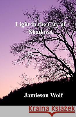 Light in the City of Shadows Jamieson Wolf 9781434838643 Createspace