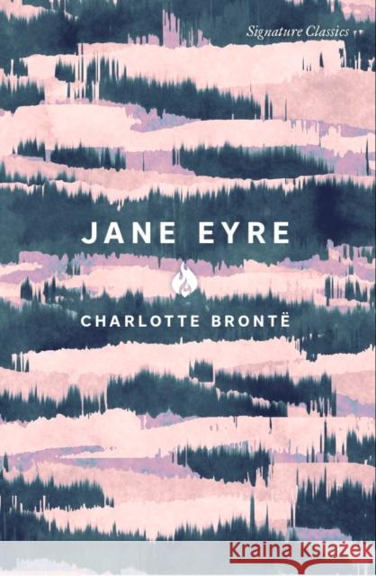 Jane Eyre Charlotte Bronte 9781435171664