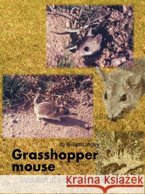 Grasshopper Mouse: Evolution of a Carnivorous Life Style William Langley 9781435708075 Lulu.com