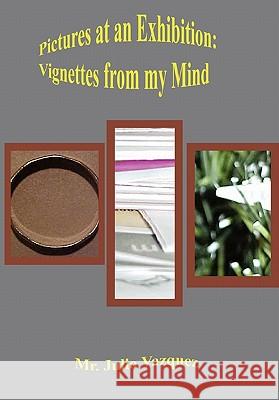 Pictures at an Exhibition: Vignettes From My Mind Julio Vazquez 9781435721302