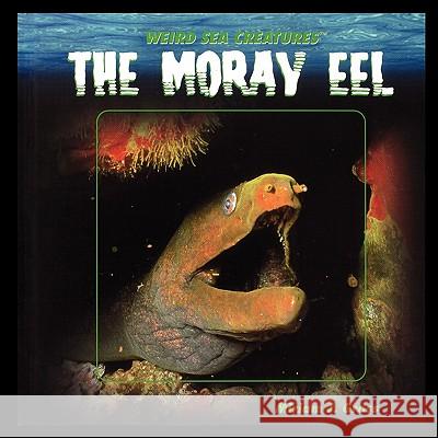 The Moray Eel Miriam Gross 9781435838161 PowerKids Press