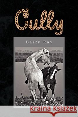 Cully Barry Ray 9781436347594