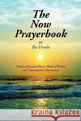 The Now Prayerbook Ilse Ursula 9781436354455