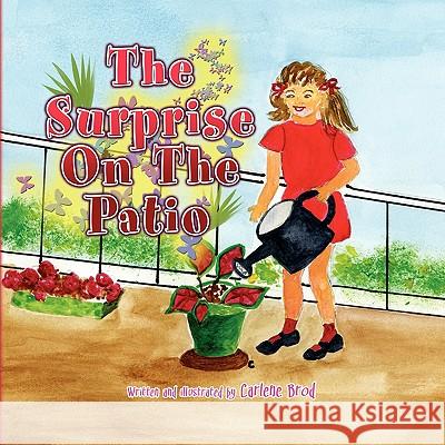 The Surprise On The Patio Carlene Brod 9781436391528 Xlibris Corporation