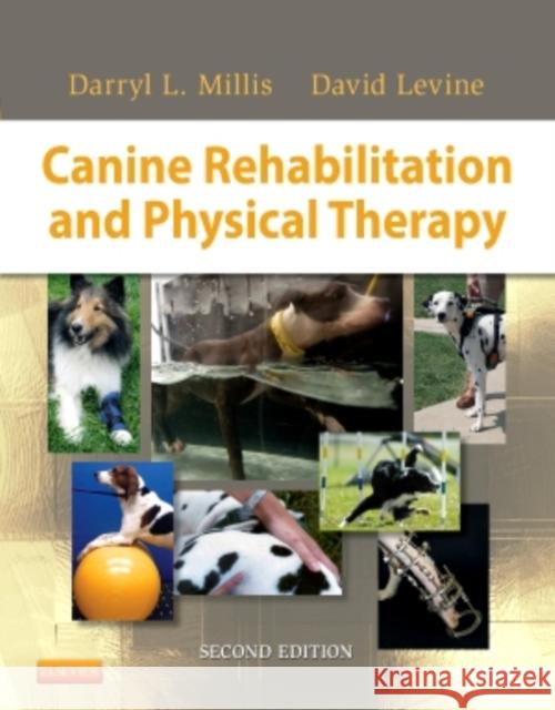 Canine Rehabilitation and Physical Therapy Darryl Millis David Levine 9781437703092 Elsevier Health Sciences