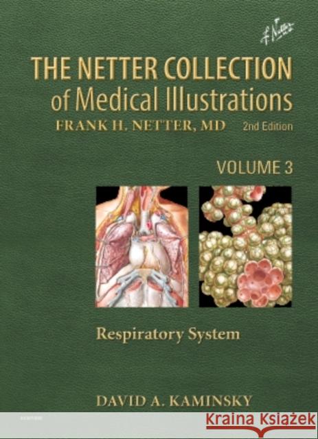The Netter Collection of Medical Illustrations: Respiratory System: Volume 3 Kaminsky, David 9781437705744 0