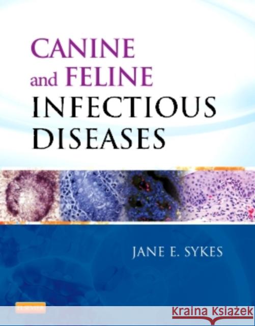 Canine and Feline Infectious Diseases Jane E. Sykes 9781437707953 W.B. Saunders Company