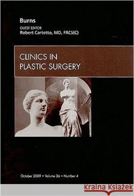 Burns, an Issue of Clinics in Plastic Surgery: Volume 36-4 Cartotto, Robert 9781437712650 W.B. Saunders Company