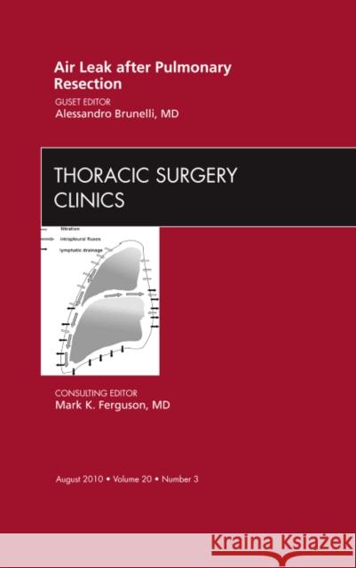 Air Leak After Pulmonary Resection, an Issue of Thoracic Surgery Clinics: Volume 20-3 Brunelli, Alessandro 9781437718812 W.B. Saunders Company
