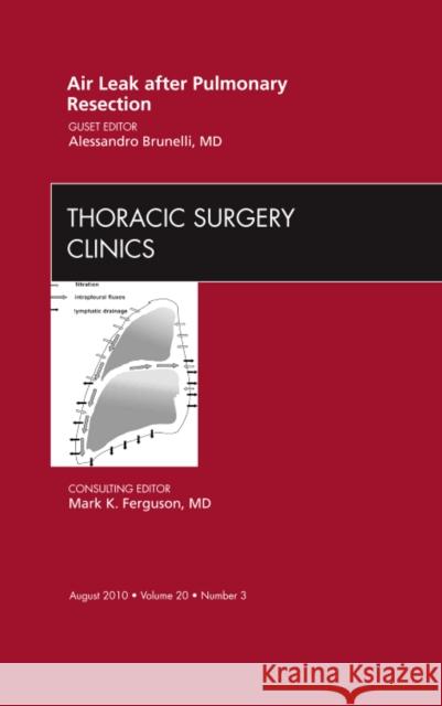 Air Leak After Pulmonary Resection, an Issue of Thoracic Surgery Clinics: Volume 20-3 Brunelli, Alessandro 9781437718812