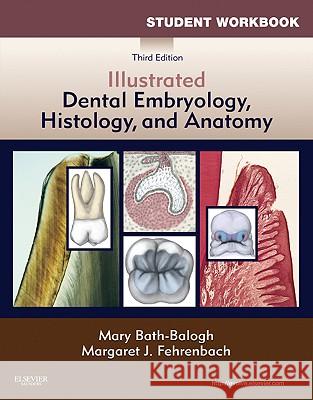 Student Workbook for Illustrated Dental Embryology, Histology and Anatomy Mary Bath-Balogh Margaret J. Fehrenbach 9781437725100 W.B. Saunders Company