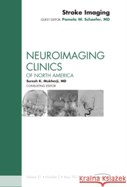 Stroke Imaging, an Issue of Neuroimaging Clinics: Volume 21-2 Schaefer, Pamela W. 9781437726930 Saunders