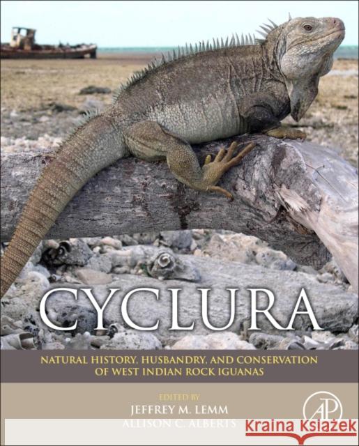 Cyclura: Natural History, Husbandry, and Conservation of West Indian Rock Iguanas Jeffrey M Lemm 9781437735161 ACADEMIC PRESS