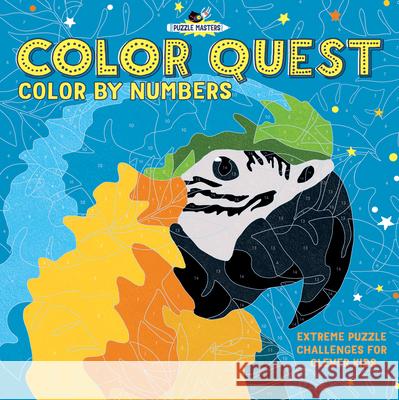 Color Quest: Color by Numbers: Extreme Puzzle Challenges for Clever Kids Amanda Learmonth Lauren Farnsworth 9781438011462 Barron's Educational Series