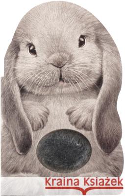 Furry Bunny Annie Auerbach Laura Rigo 9781438050119 Barron's Educational Series