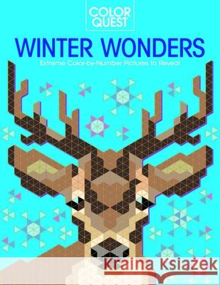 Color Quest: Winter Wonders: Extreme Color-By-Number Pictures to Reveal Daniela Geremia 9781438089515 B.E.S.