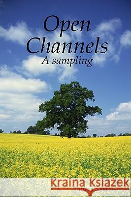 Open Channels: A Sampling Patricia Sanders 9781438240473