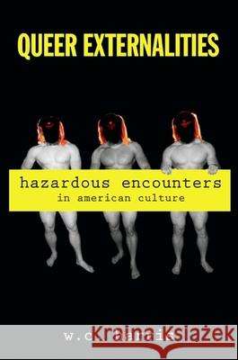 Queer Externalities: Hazardous Encounters in American Culture W. C. Harris 9781438427522 State University of New York Press