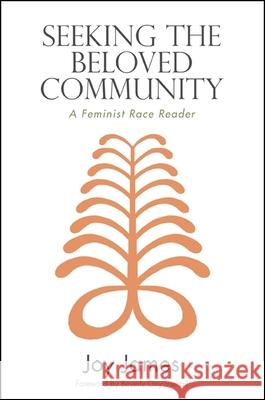 Seeking the Beloved Community: A Feminist Race Reader Joy James Beverly Guy-Sheftall 9781438446325 State University of New York Press