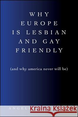 Why Europe Is Lesbian and Gay Friendly (and Why America Never Will Be) Angelia R. Wilson   9781438447278