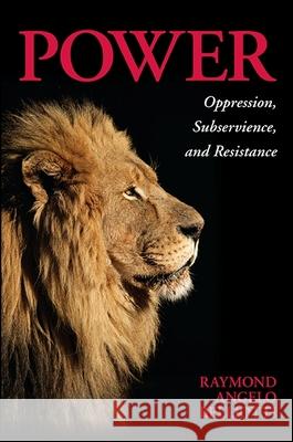 Power: Oppression, Subservience, and Resistance Raymond A. Belliotti 9781438459554