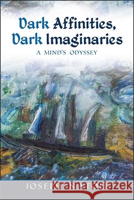 Dark Affinities, Dark Imaginaries: A Mind's Odyssey Joseph Natoli 9781438463506