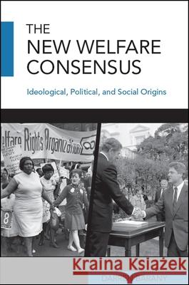 The New Welfare Consensus Barany, Darren 9781438470542 State University of New York Press