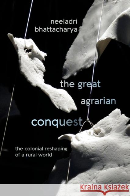 The Great Agrarian Conquest Bhattacharya, Neeladri 9781438477404 State University of New York Press