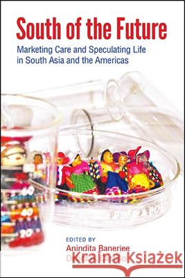 South of the Future: Marketing Care and Speculating Life in South Asia and the Americas Anindita Banerjee Debra A. Castillo 9781438481067