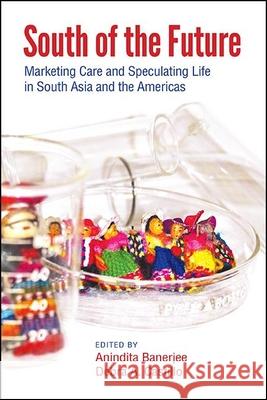 South of the Future: Marketing Care and Speculating Life in South Asia and the Americas Anindita Banerjee Debra A. Castillo 9781438481074