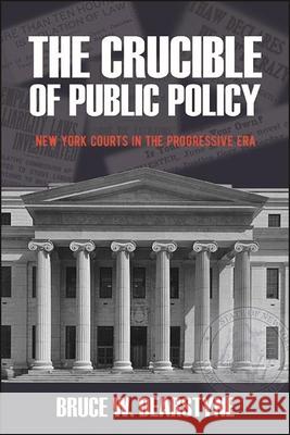 The Crucible of Public Policy: New York Courts in the Progressive Era Bruce W. Dearstyne 9781438488578 Excelsior Editions/State University of New Yo