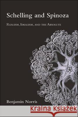 Schelling and Spinoza: Realism, Idealism, and the Absolute Benjamin Norris 9781438489537 State University of New York Press