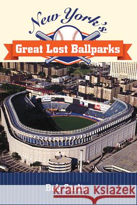 New York's Great Lost Ballparks Bob Carlin 9781438490229 Excelsior Editions/State University of New Yo