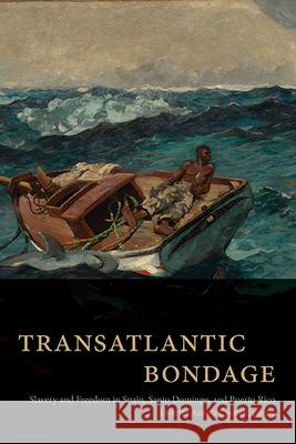 Transatlantic Bondage: Slavery and Society in Spain, Santo Domingo, and Puerto Rico Lissette Acost 9781438497938