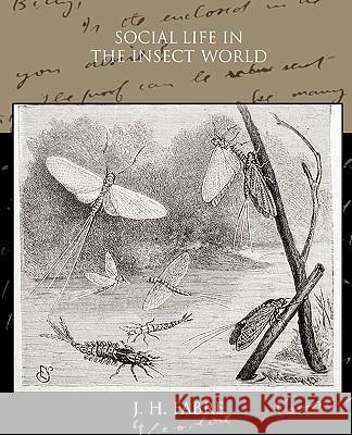 Social Life in the Insect World Jean-Henri Fabre 9781438532097 Book Jungle