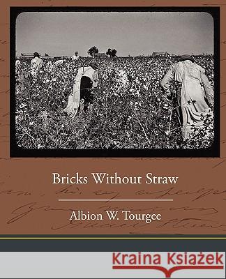 Bricks Without Straw Albion W. Tourgee 9781438594187