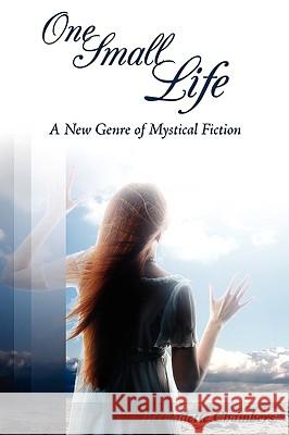 One Small Life: A New Genre of Mystical Fiction Chambers, Bernadette 9781438935843