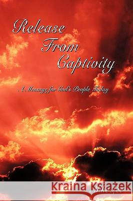 Release From Captivity: A Message for God's People Today Lee, Mike 9781438938103