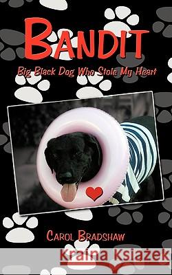 Bandit: Big Black Dog Who Stole My Heart Bradshaw, Carol 9781438949925 Authorhouse