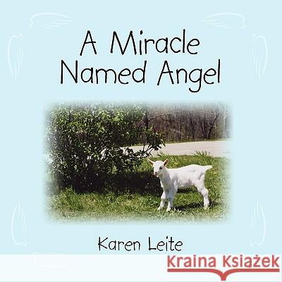 A Miracle Named Angel Karen Leite 9781438952468 AuthorHouse