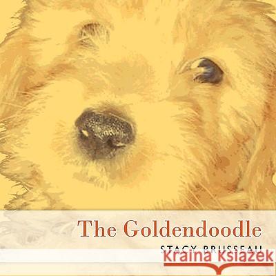 The Goldendoodle Stacy Brusseau 9781438972183 Authorhouse