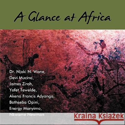 A Glance at Africa Dr Njoki N. Wane 9781438974897